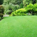 Purdy Grass Lawn Service - Lawn Maintenance