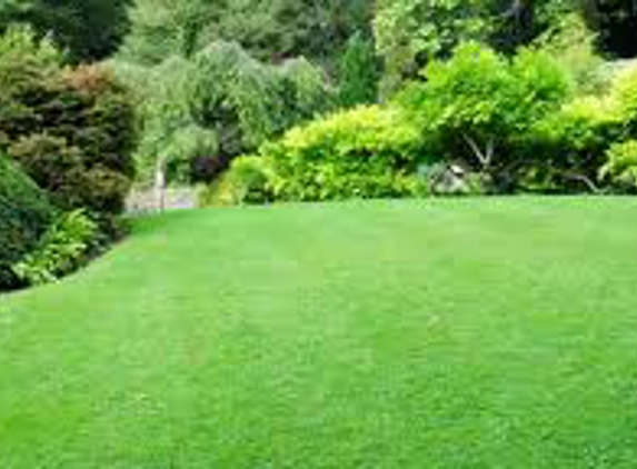 Purdy Grass Lawn Service - Goodlettsville, TN