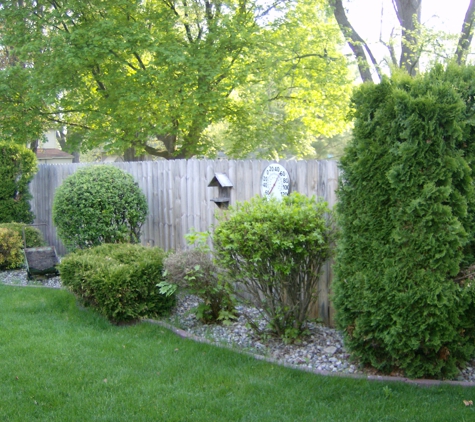 Fresh Cut Lawn/Shrub Care - Mount Pleasant, MI