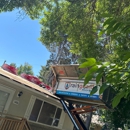 Rainguard Roofing - Roofing Contractors
