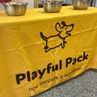 Playful Pack