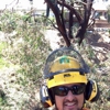 Leaf It To Us Tree Service gallery