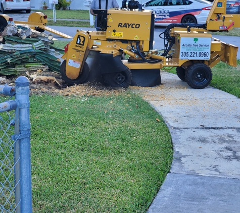 Acosta Tree Service - Miami, FL