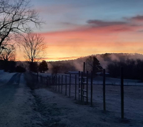 Misty Mornings Arkansas - Norfork, AR