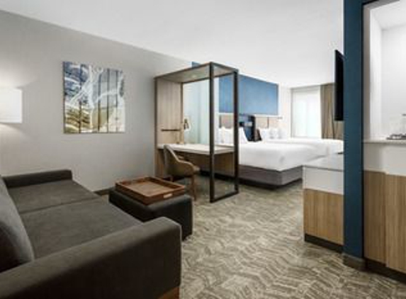 SpringHill Suites Belmont Redwood Shores - Belmont, CA