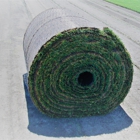 Meyers' Wholesale Turf