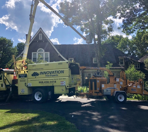 Innovation tree services and landscaping - Somerset, NJ
