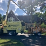 Innovation tree services and landscaping