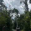 Estrada's Tree Service and Landscape gallery