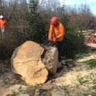 Discovery Tree Care, Inc.