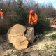 Discovery Tree Care, Inc.
