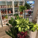 The White Orchid Market - Gourmet Shops