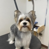 Petsense by Tractor Supply gallery