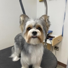 Petsense by Tractor Supply