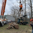 Owen's Tree Care