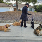 SLO Life Dog Training