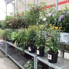 Tractor Supply Co