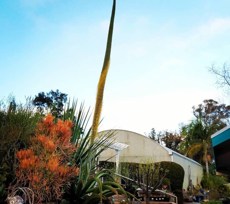 El Plantio Nursery - Escondido, CA