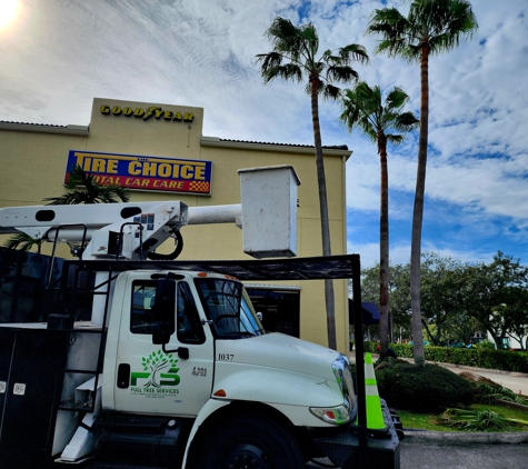 Full Tree Services - Davie, FL. Tree Trimming 