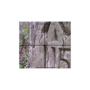 Gallery Image Number 6