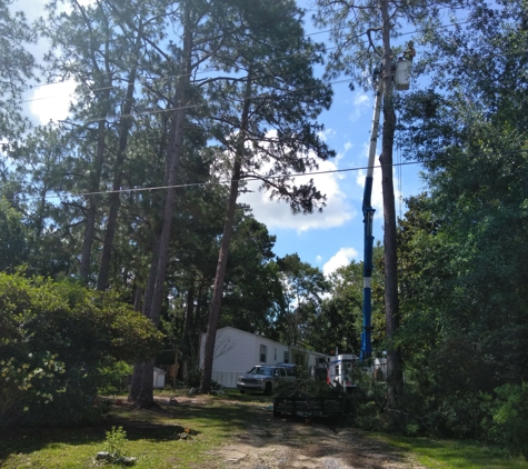 Climbing High Tree Specialists, LLC - Biloxi, MS