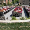 Walnut Place Apartments gallery
