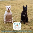 Emerald Shores Pet Hospital Resort and Spaw - Veterinarians