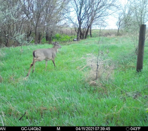 Buck.It Ready - Kaukauna, WI