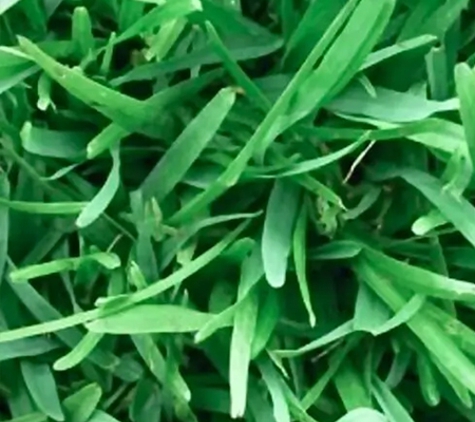 Lockyer Lawn Supplies - Spring Creek, QLD