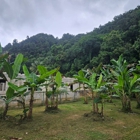 Rancho de Abuelita
