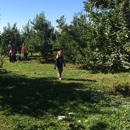 Rittman Orchard - Orchards