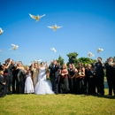 St Louis Doves Release Company - Wedding Chapels & Ceremonies