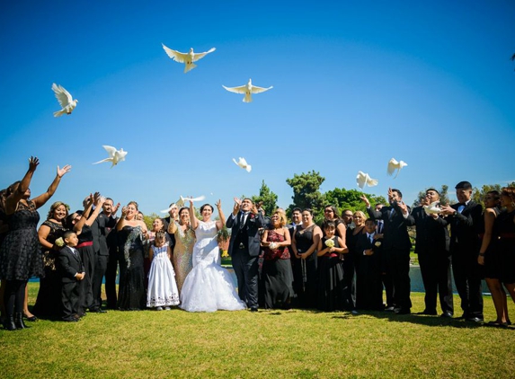 St Louis Doves Release Company - Moscow Mills, MO