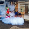 Pest Pro Services gallery