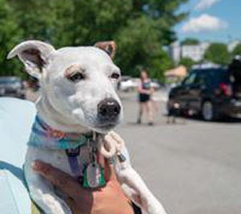 Benson's Pet Center - Albany, NY