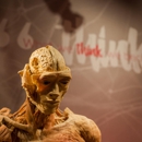 REAL BODIES at Bally's - Museums
