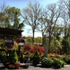 Contino Landscaping & Design gallery