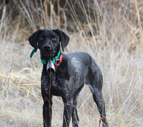 Kylers Field & Marsh kennels - La Pine, OR