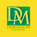 David Mancini & Sons - Utility Contractors