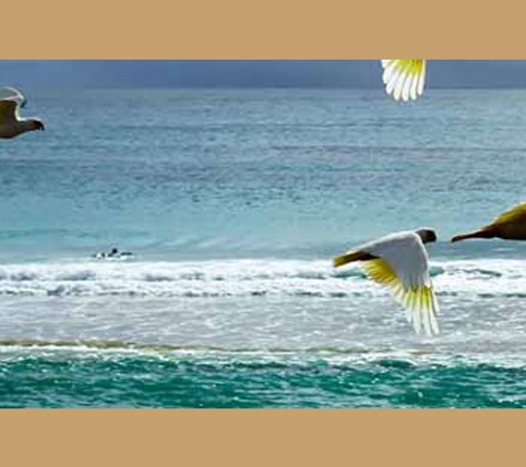 Byron Shire Council - Cavanbah Centre - Byron Bay, NSW