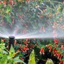 Precision Sprinklers Inc. - Snow Removal Service