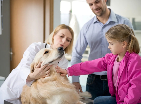 Kempsey Veterinary Clinic - Kempsey, NSW