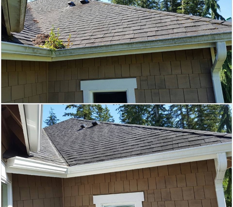 Moss Defender roof and gutter cleaning LLC - Sultan, WA