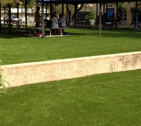 Artificial Grass Turf Pinecrest FL - IntelliTurf - Pinecrest, FL