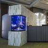 Premier fish & reef gallery