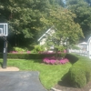 All Year Lawn gallery