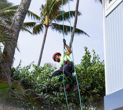 Mana Home Services - Kailua, HI