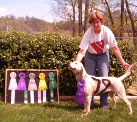 Beech Grove Stable and Kennels - Beechgrove, TN