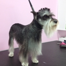 Puppylicious Pet grooming salon - Pet Grooming