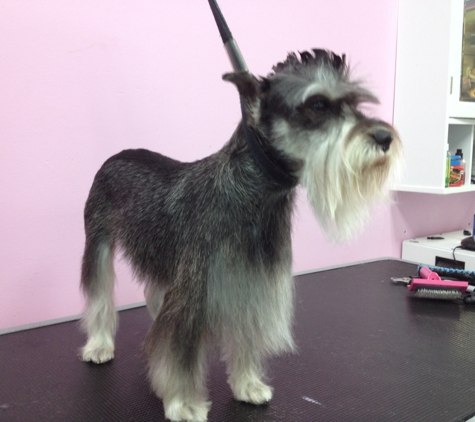 Puppylicious Pet Grooming Salon - Coconut Creek, FL